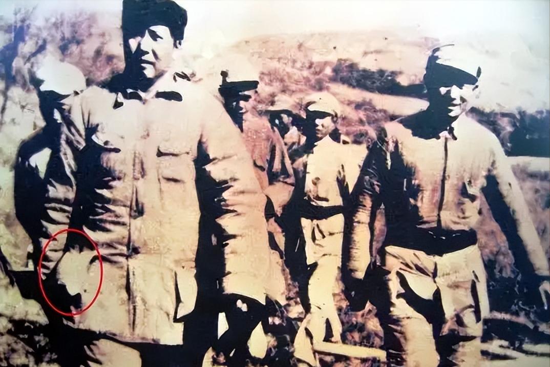 1943年10月的一天，毛主席来到南泥湾视察。午餐时，餐桌上有两只南泥湾自产的烧