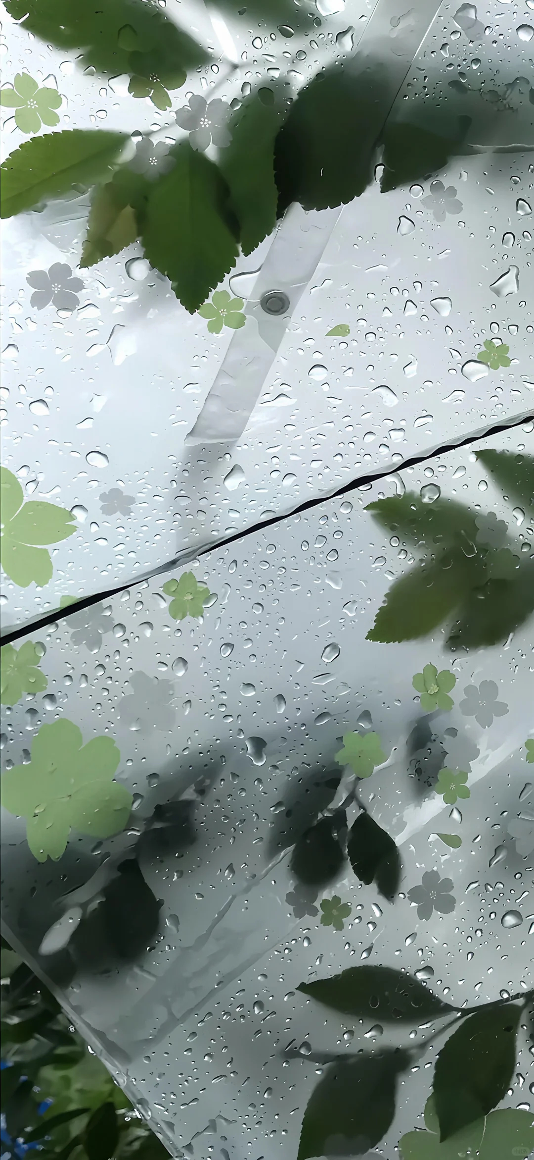 iPhone｜雨天壁纸鹿晗 司晓迪iPhone