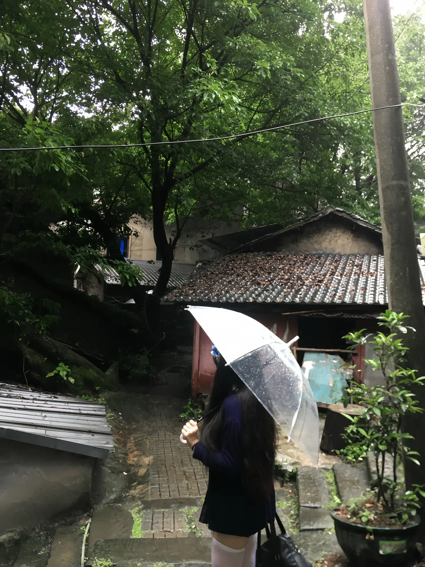 想回到故事开头 去有你的世界