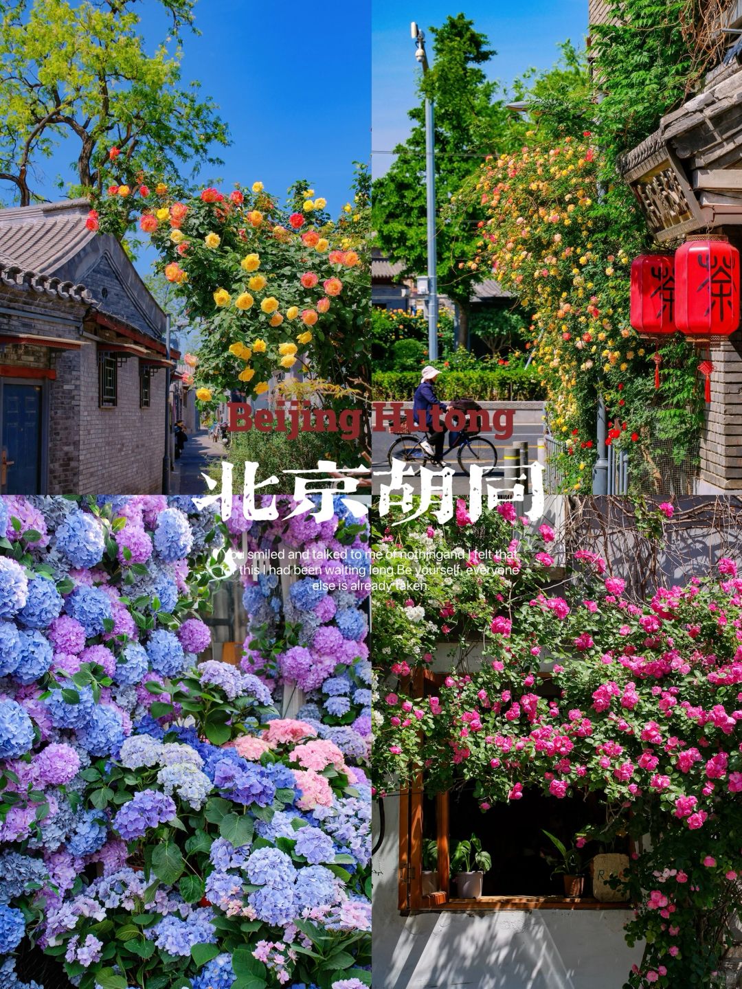 北京初夏🌸胡同浪漫💕本周末citywalk路线🌸