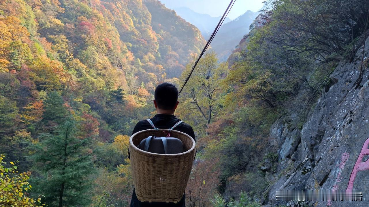 杜甫：“扫除白发黄精在，君看他年冰雪容”。苏轼：“幽人只采黄精去，不见春山鹿养茸