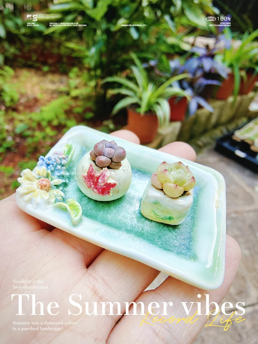 E姐多肉花盆｜就问你.好看不好看👀