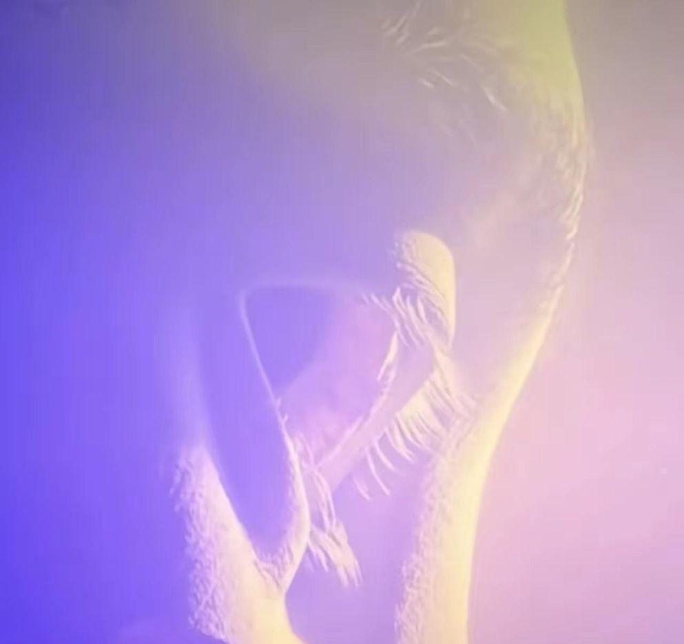 卡梅隆拍大腿承认：把神拍出来，是我犯过最蠢的错误。
十年前潘多拉星球那个发光圣母