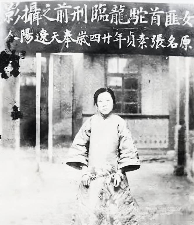 1925年长春城内，昔日叱咤东北的女匪首张淑贞，为躲避围剿藏身妓院避难。一日她如