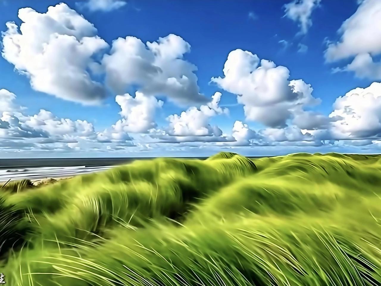 晒图笔记大赛 蓝天白云，晴空万里，这画面就是大自然给的顶级浪漫。每次抬头，都像开