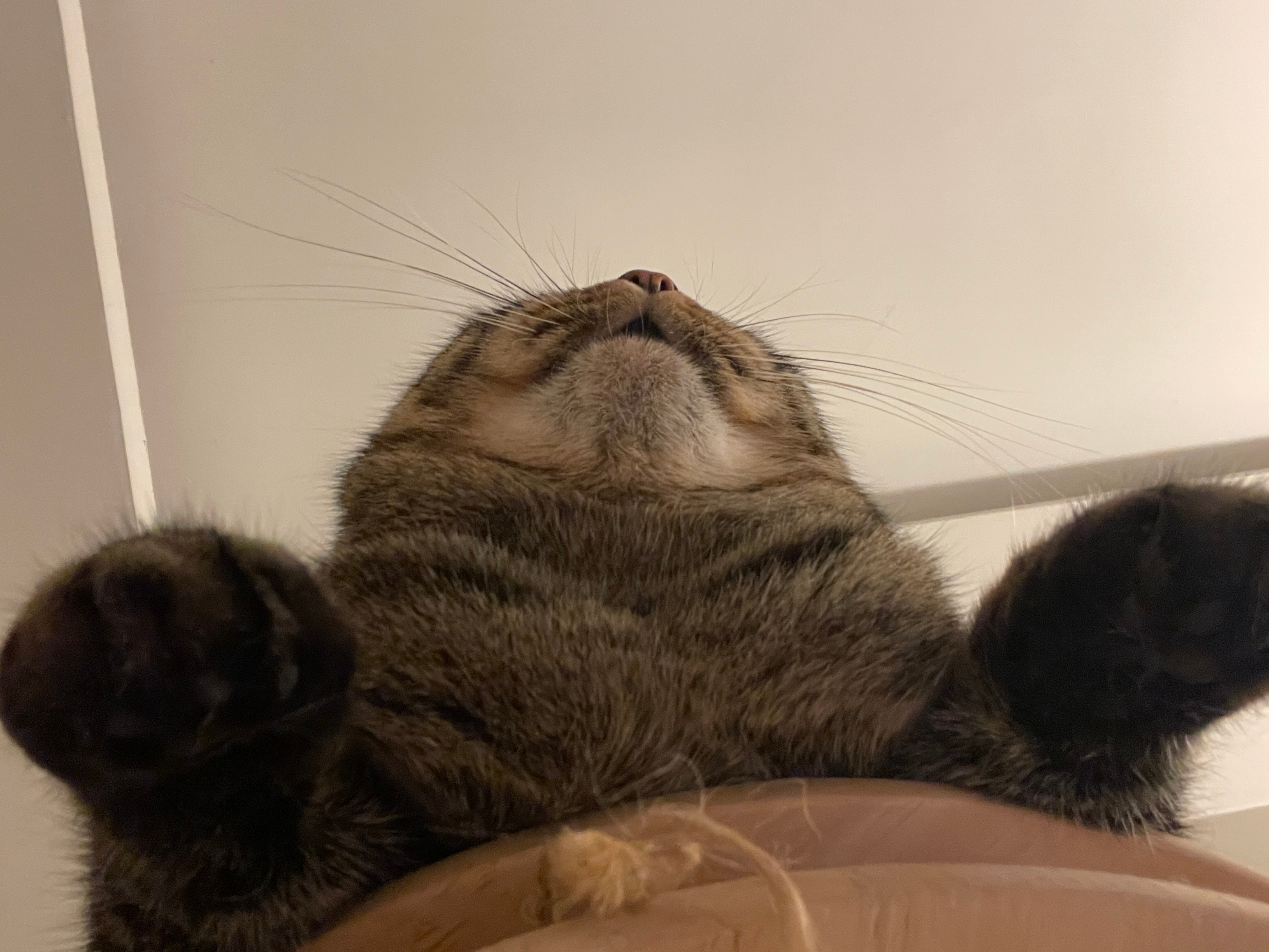 嘿嘿嘿嘿 