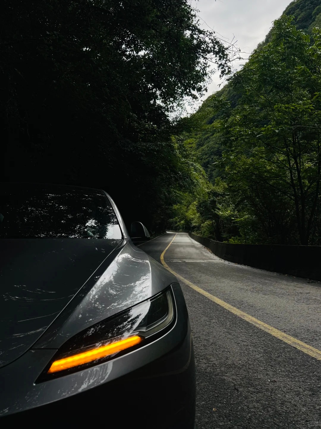 特斯拉Model3，真的好适合开山路，单踏板模式加减速真的太省心了。以前开油车，
