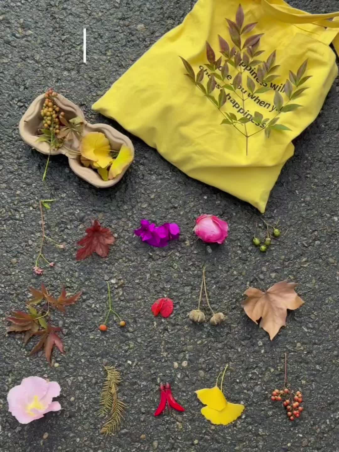 秋天一定要去公园捡秋🍂i人充电方式 太治愈啦～ 秋天就是第二个春天 ...