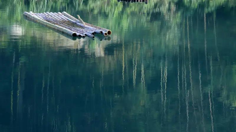 我喜欢的经典老歌可太多了。像《我们的生活充满阳光》，“并蒂的花儿竞相开放，比翼的