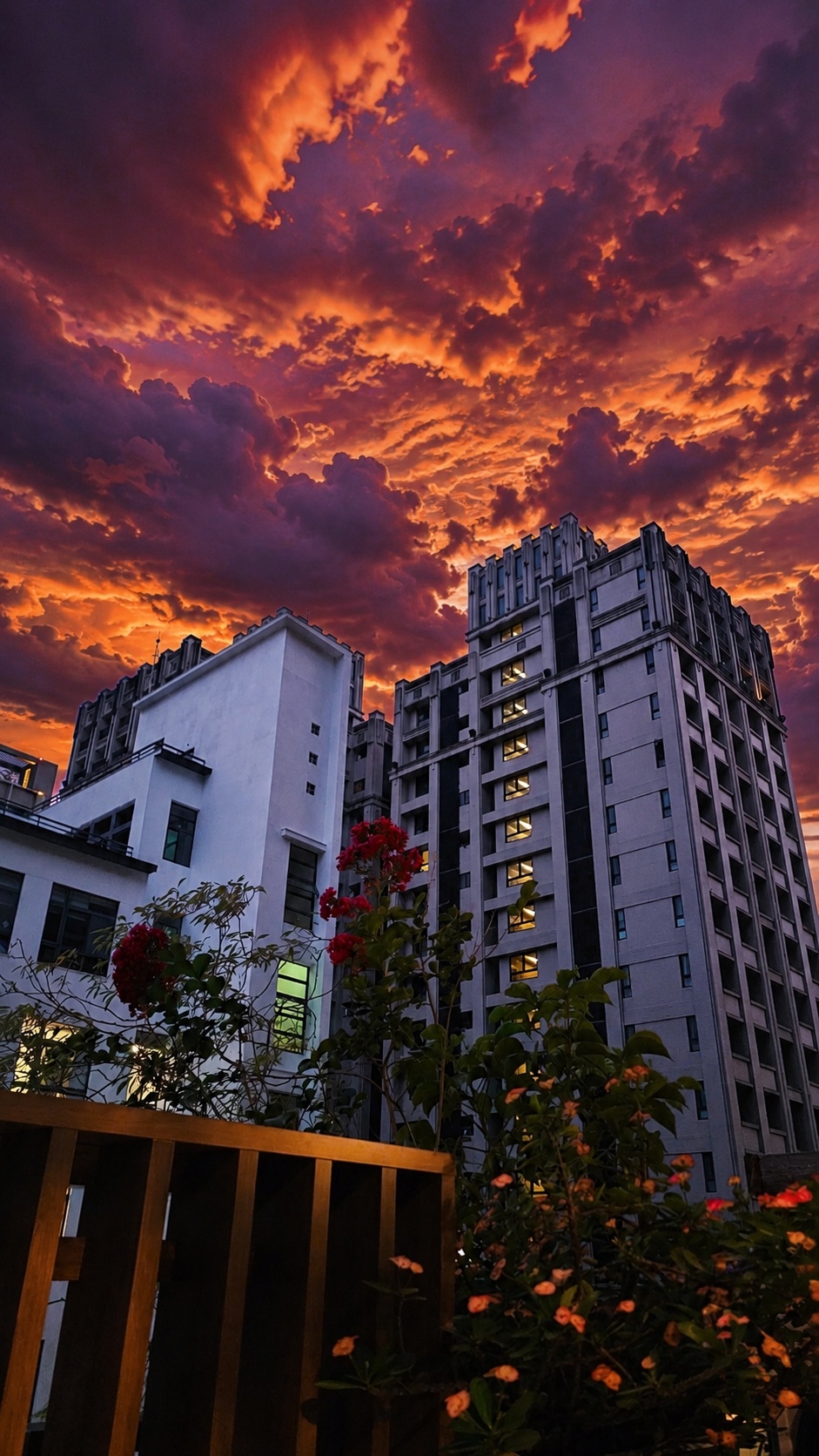 今晚，颱風開始準備發威了。趁著風雨還沒真正來臨，我趕緊把陽台的水溝清理一遍，順便