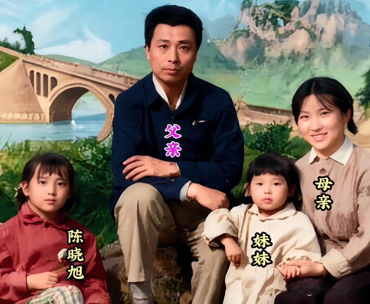 电视剧（红楼梦）中林妹妹特别火，陈晓旭出了大名，称为：无人能超越。

陈晓旭一家