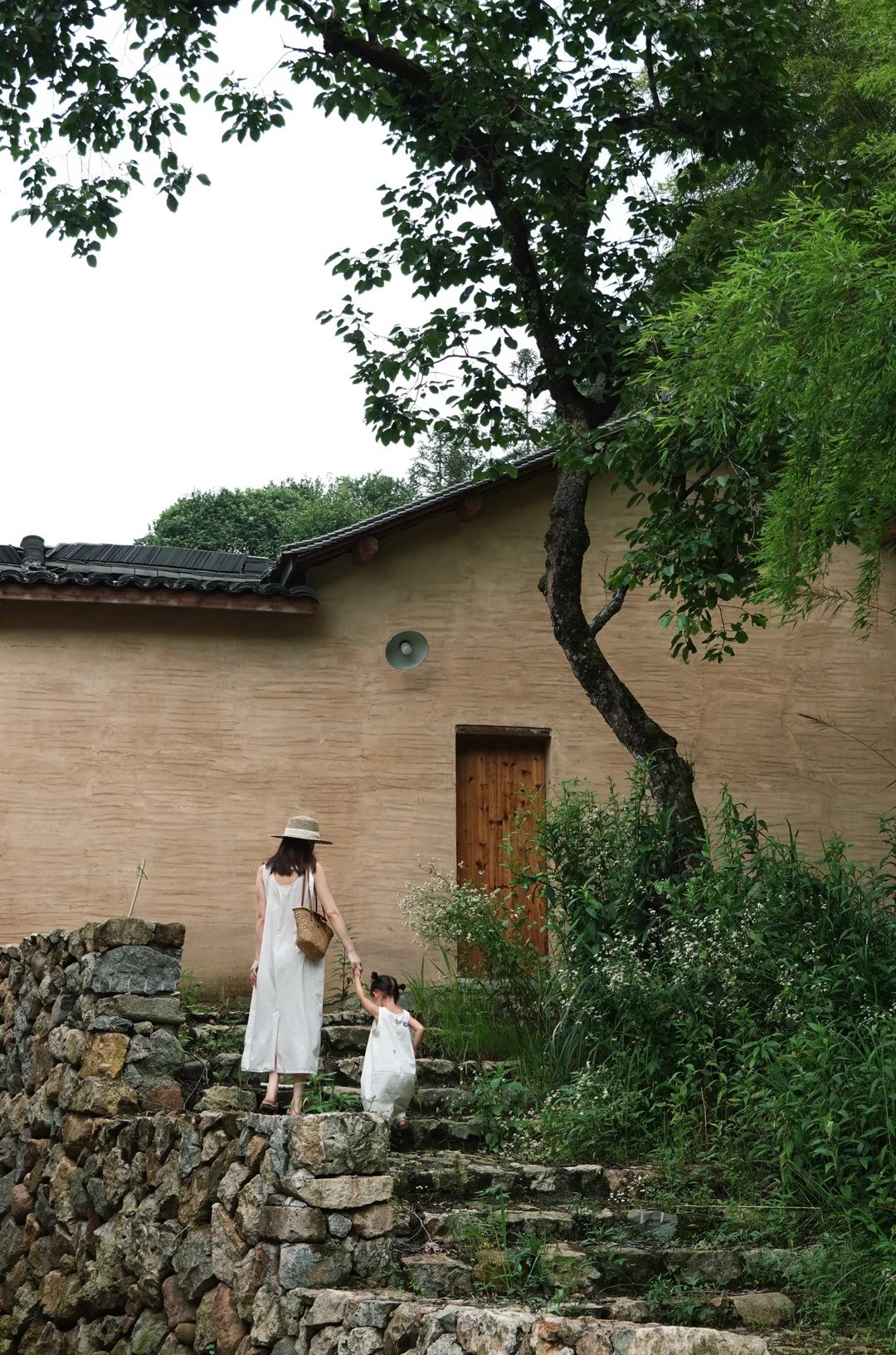 松阳小后畲，藏着不设边界的山野避暑梦