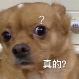 田暖品品历史