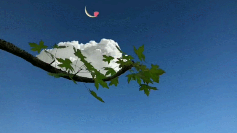 许多痛苦都源自我们太把自己当回事。｜阿兰·德波顿 