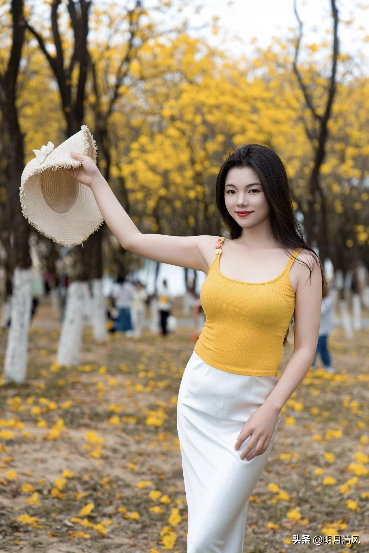 看大家最近都在发黄风铃的照片，金黄一片确实好看。昨天特意去拍了一组，试了个新动作