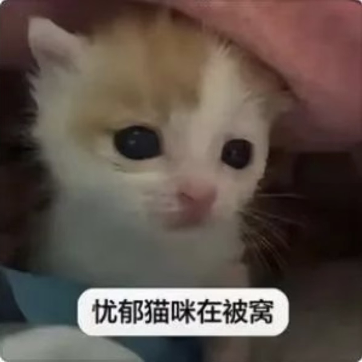 中午吃什么了老公们！ 