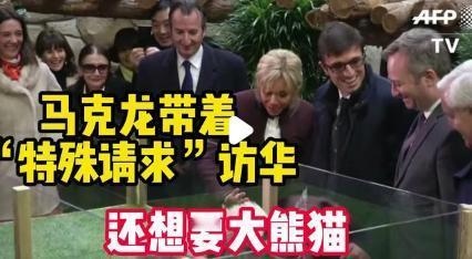 马克龙带着“特殊请求”访华，法国希望再租借大熊猫。法国部分网友调侃“作为交换能把