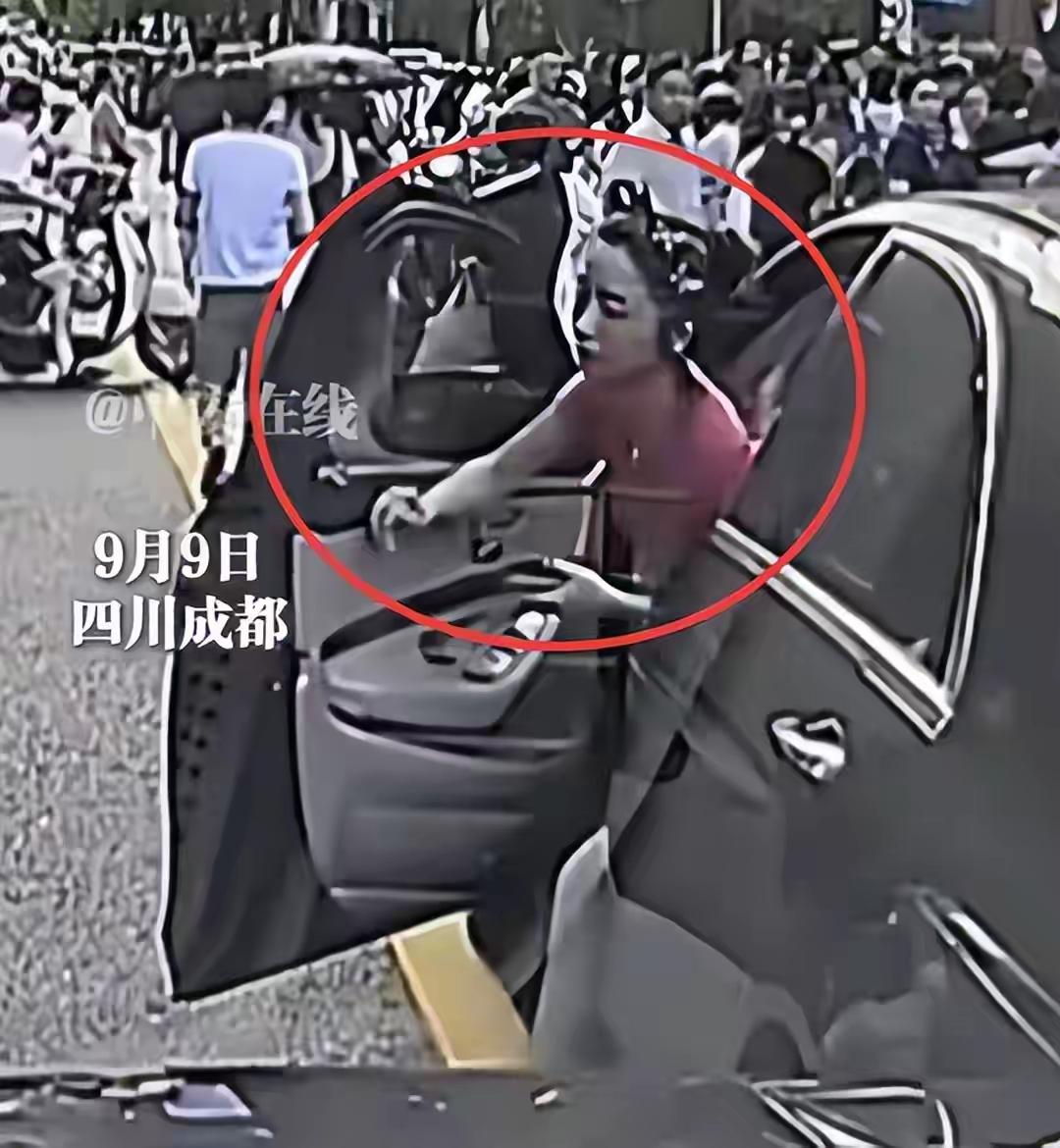 成都“奔驰接娃姐”把大S停路中，堵死放学路12分钟，被大爷大妈围攻仍双手抱胸、背