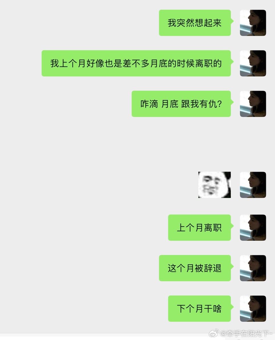 我真没招了