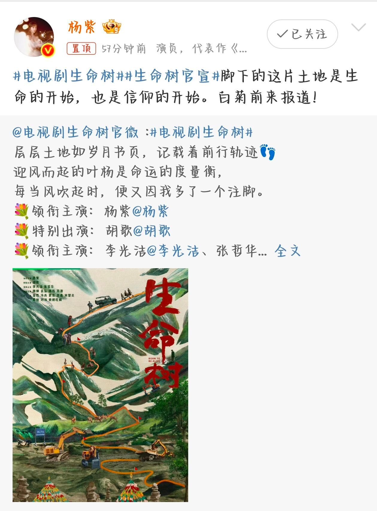 杨紫正午阳光三搭杨紫官宣生命树 算上生命树，这是杨紫和正午阳光三搭了，之前分别是