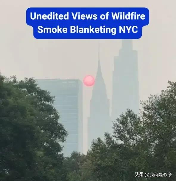 邻国发大火了，这都是加税的理由吗？
按照咱们中国人的逻辑，邻国发生大火了，不是应