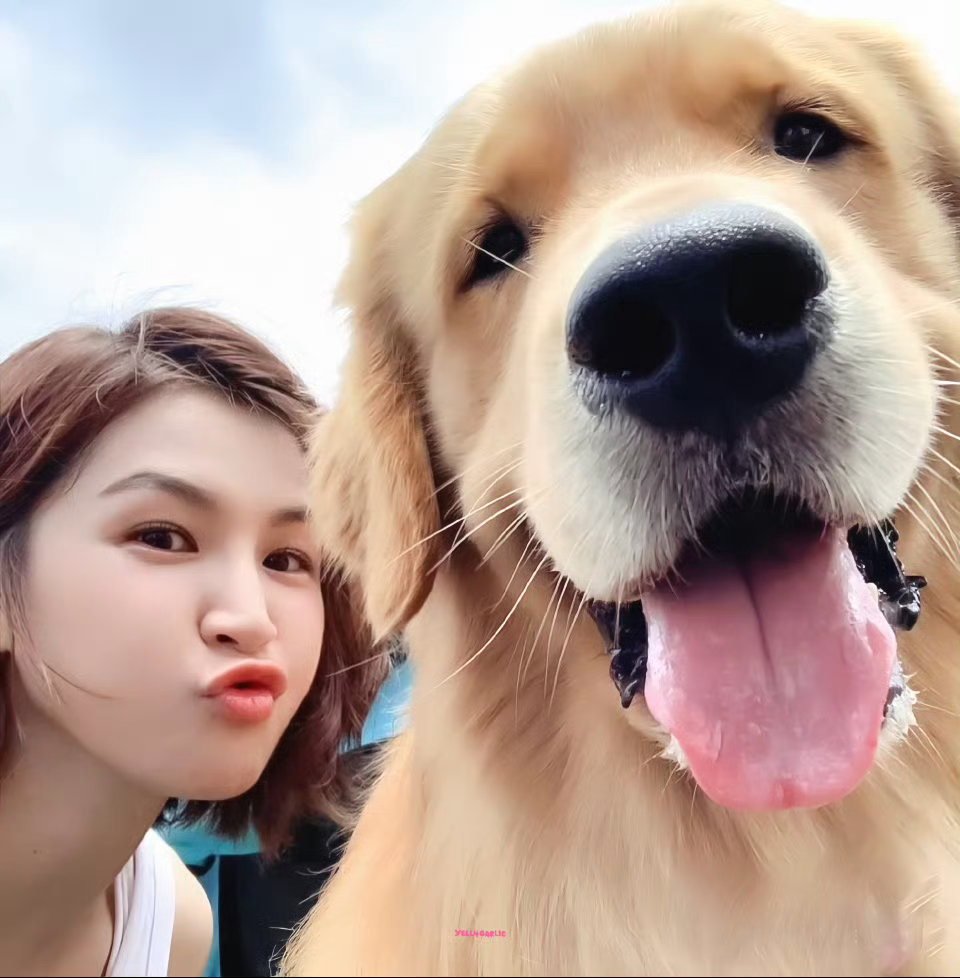 曾沛慈初代少女暴君谁能拒绝少女时代的霸气King！雷婷又飒又果敢的模样太戳人，藏