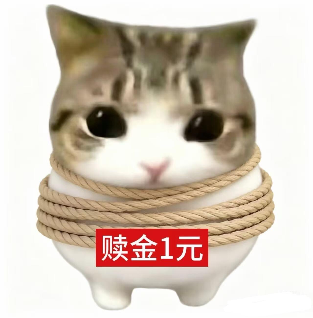 疏狂诗一首 0800南方温暖地区一般在9月中旬至10月上旬定植，北方地区一般为8