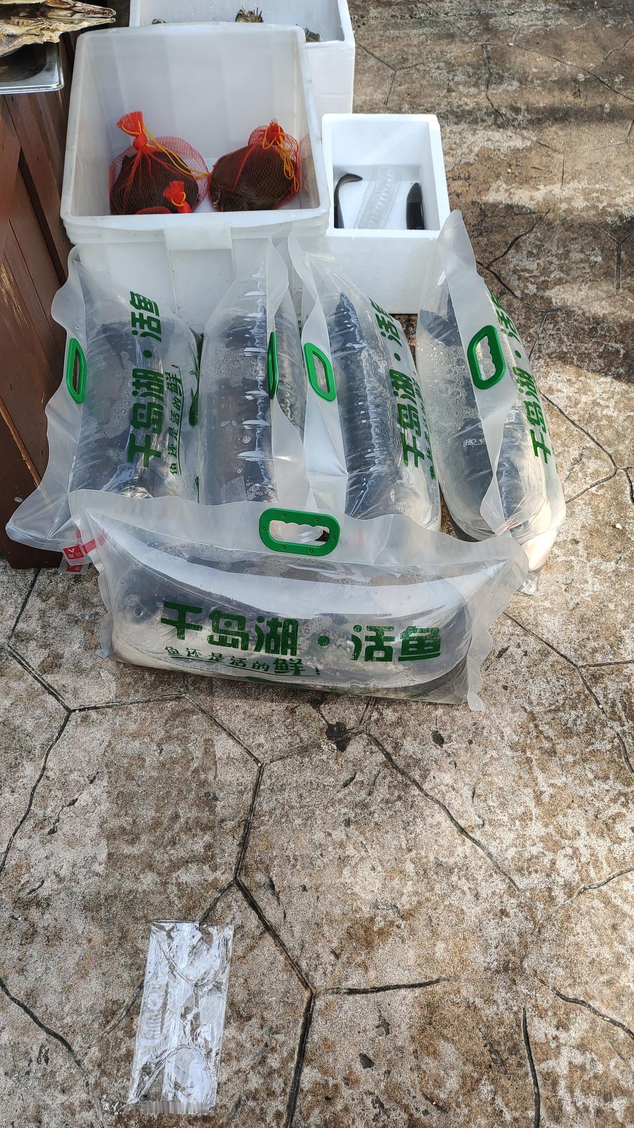 晒图笔记大赛现在的活鱼都这么卖的吗，还用上了高科技，长时间能保活的秘密是啥？不知