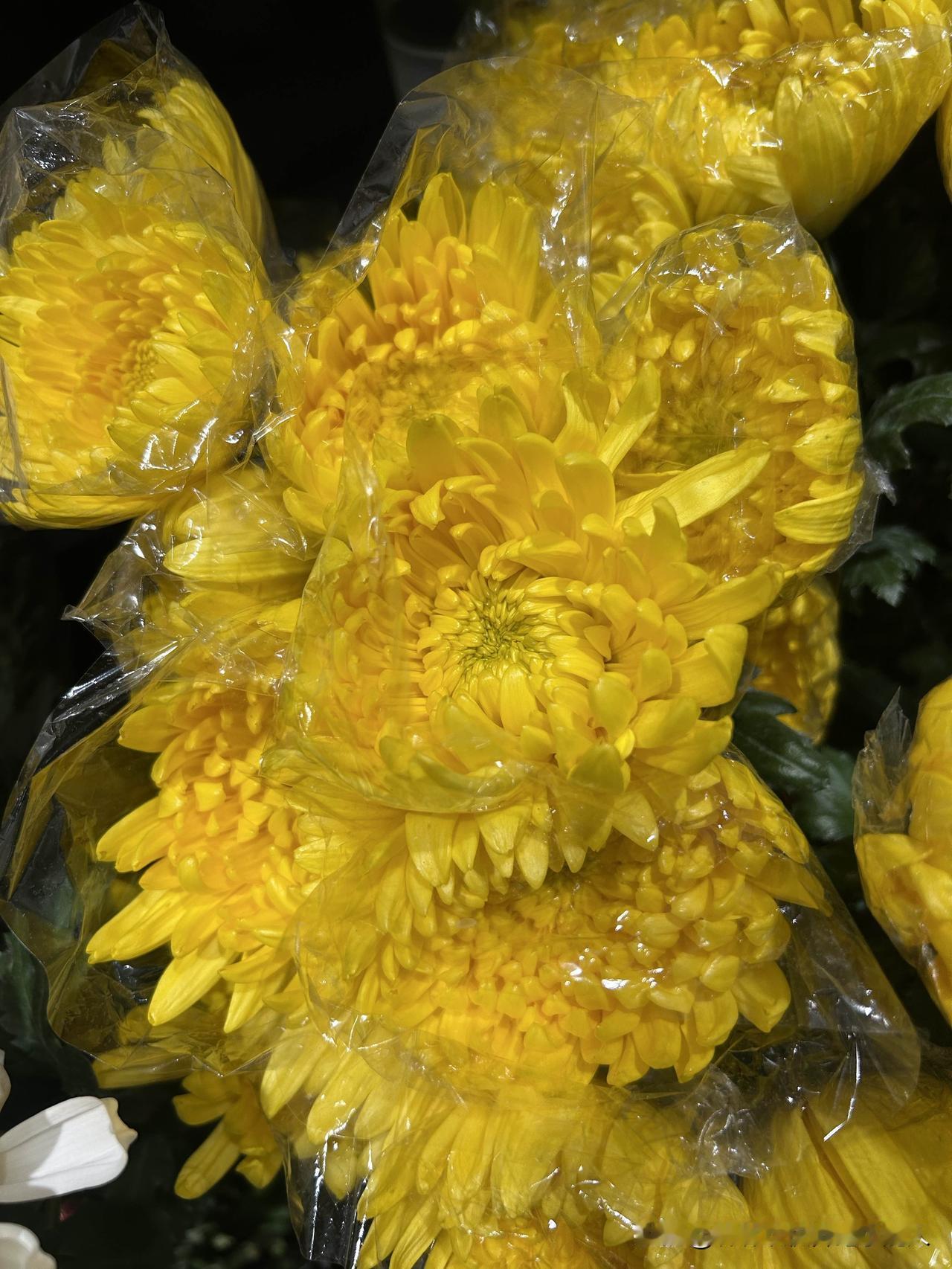 中方就特朗普威胁伊朗表态特朗普对伊朗放狠话、下最后通牒，这种武力威胁太极端了，不