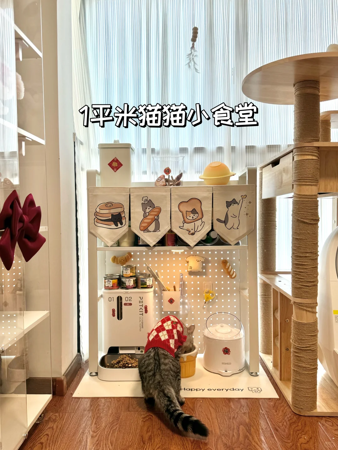 猫猫小食堂是谁还没拥有！做猫简直太幸福