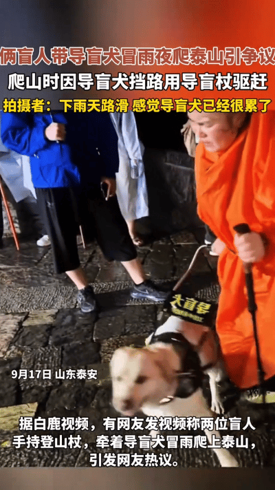 “支持收回”，一对盲人夫妻雨夜牵着导盲犬芬迪深夜去爬泰山十八盘！一听还挺励志的，