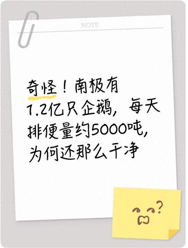 奇怪！南极有1.2亿只企鹅，每天排便量约5000吨，为何还那么干净