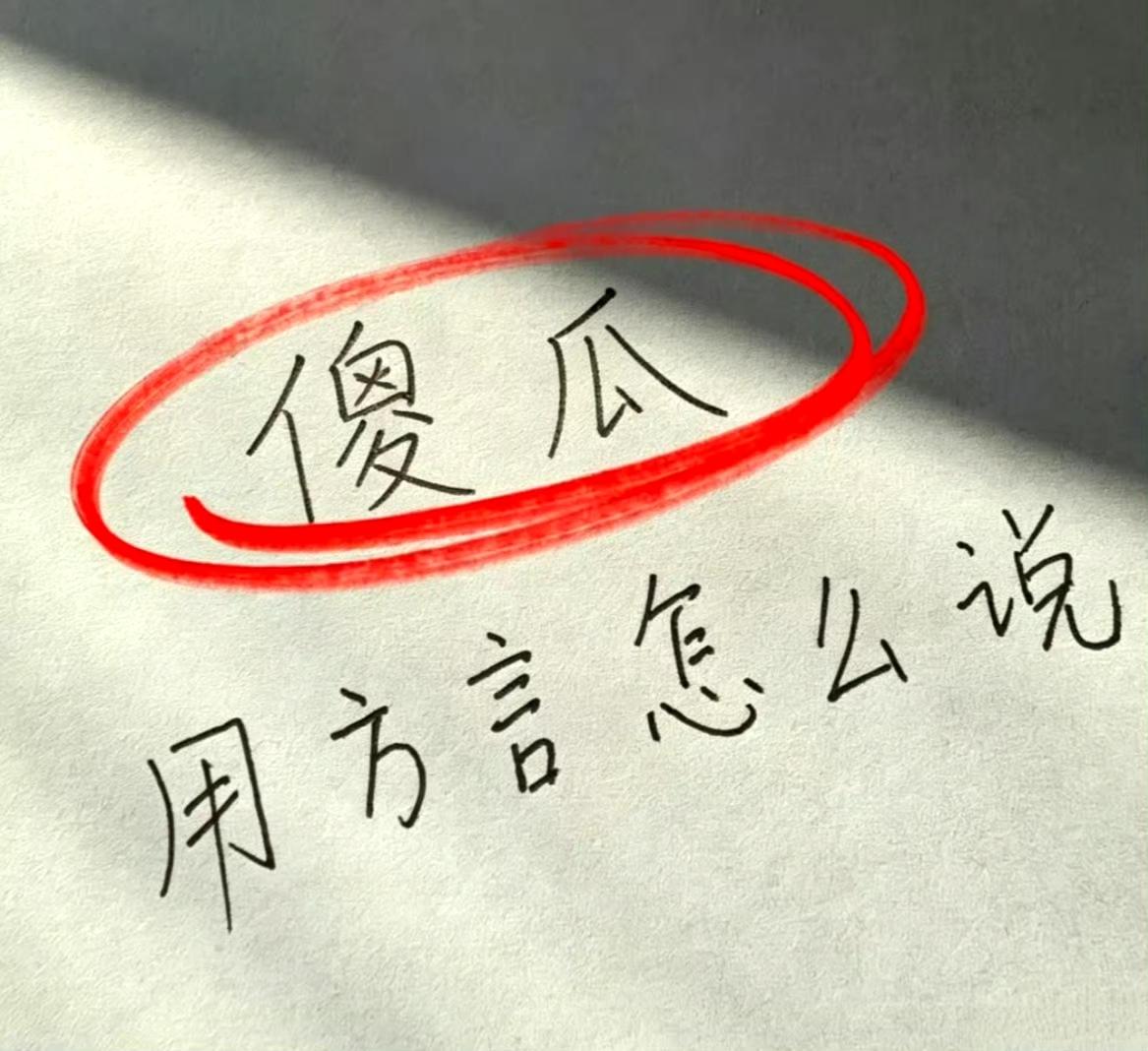 傻瓜用方言怎么说？