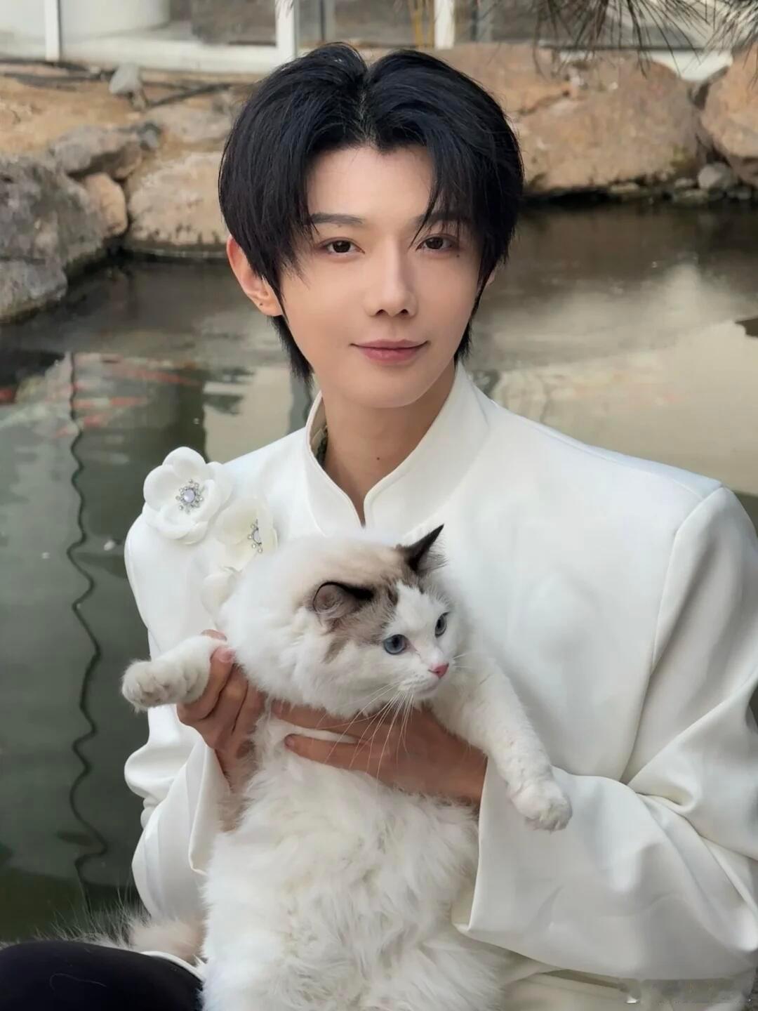 都是新中式还黑白+蝶恋花是吧，好好好 蝶恋花原来是这个意思！云旗 郝熠然 