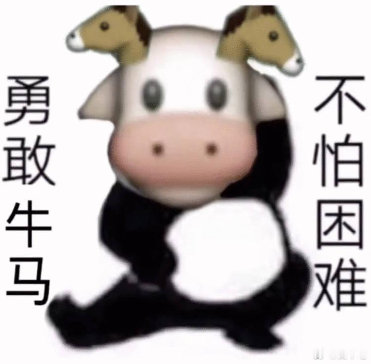 被wps背刺了会员太贵了，好久不用WPS了。 