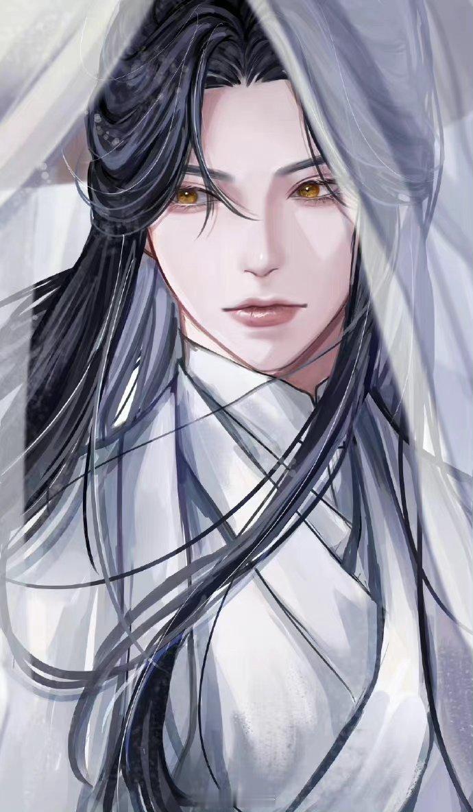 二哈与他的白猫师尊 眼神坚毅清澈，晚宁实在太美了[awsl]x：ni_1108_