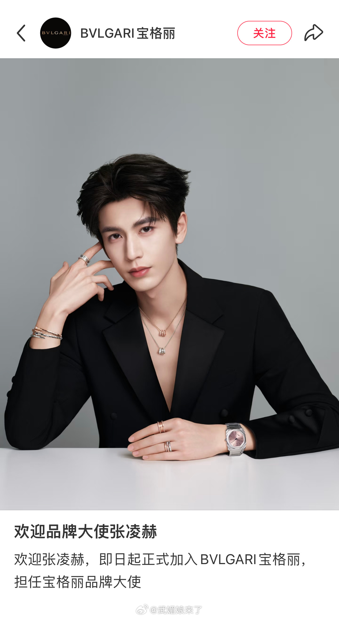 恭喜张凌赫无缝高奢无考察期空降官宣宝格丽品牌大使，内外网同步官宣，宝格丽还直接给