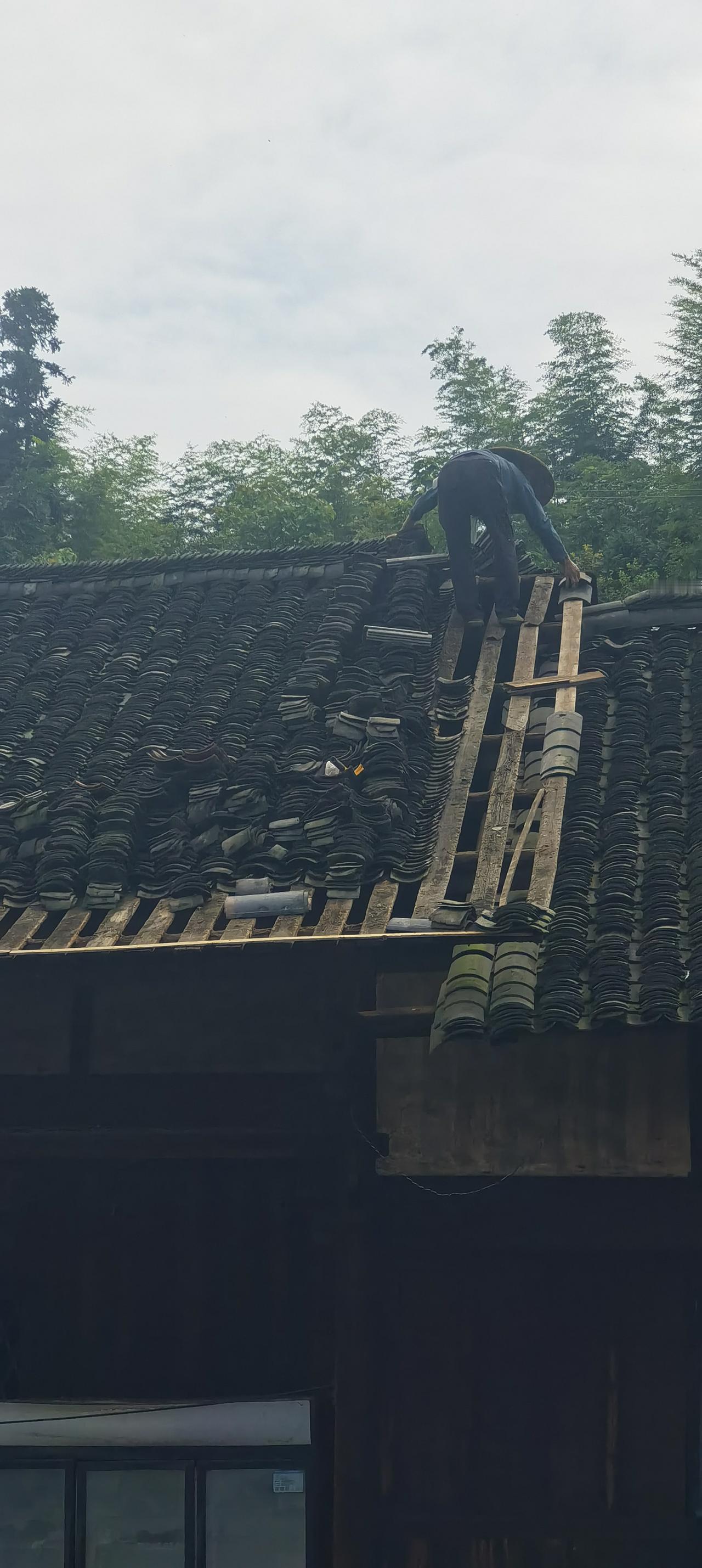 百年木屋，弃之可惜，保留，维修需要资金。权衡之后，决定暂时投入资金维修。待我这一