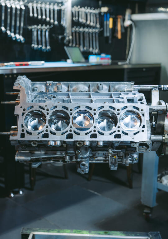 愿你历尽千帆、归来任是少年