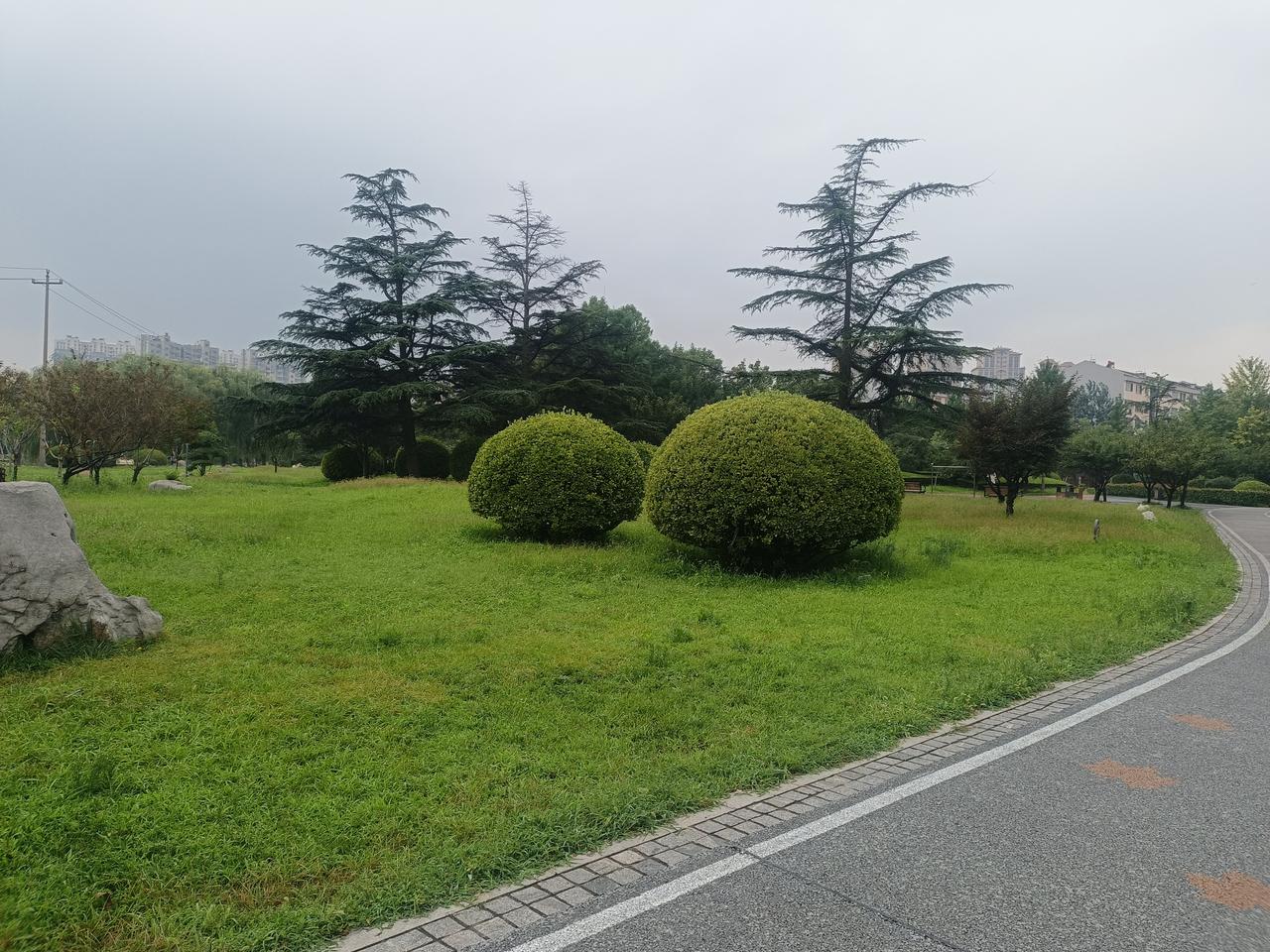 记住一点，
当你的身体玩出弹性来，
身体的对争劲玩出拉弓放箭的感觉，
一动来回自