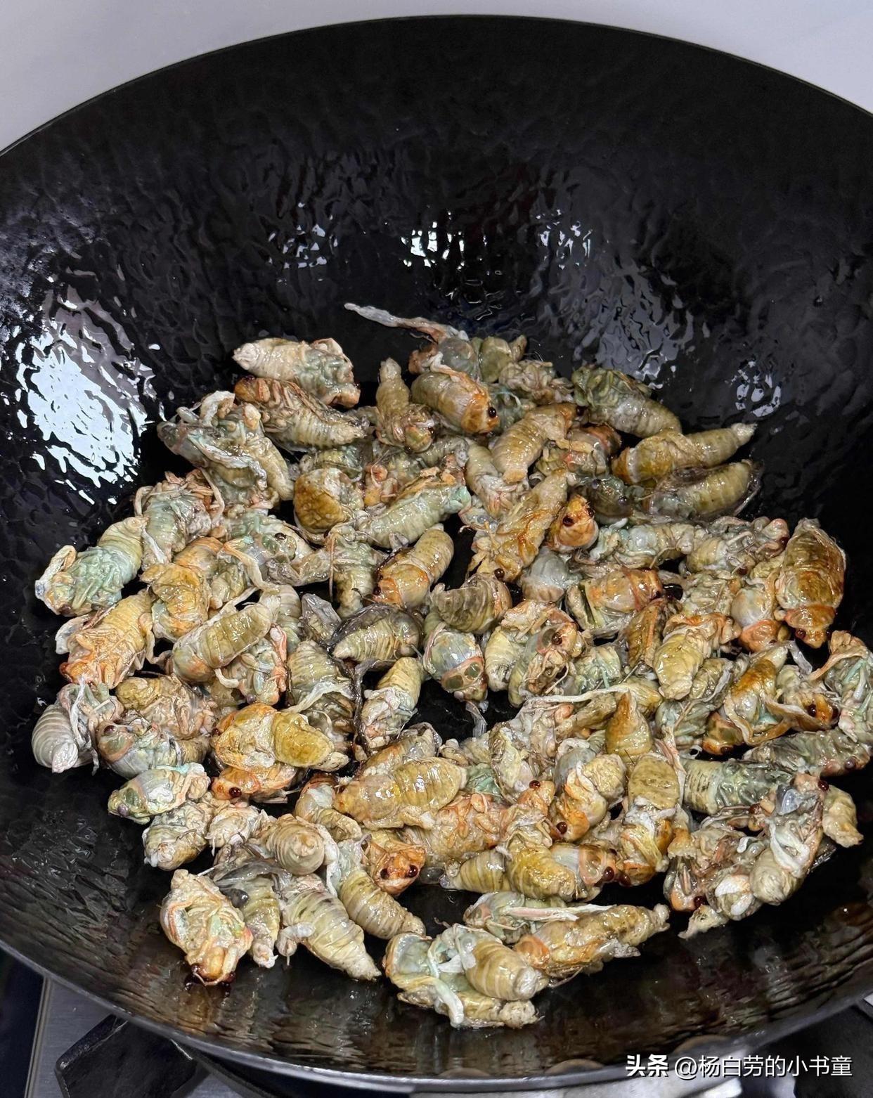 这道菜很好吃
能叫出他名字的不超过3个人吧
随着环境被破坏
现在的孩子们不要说吃