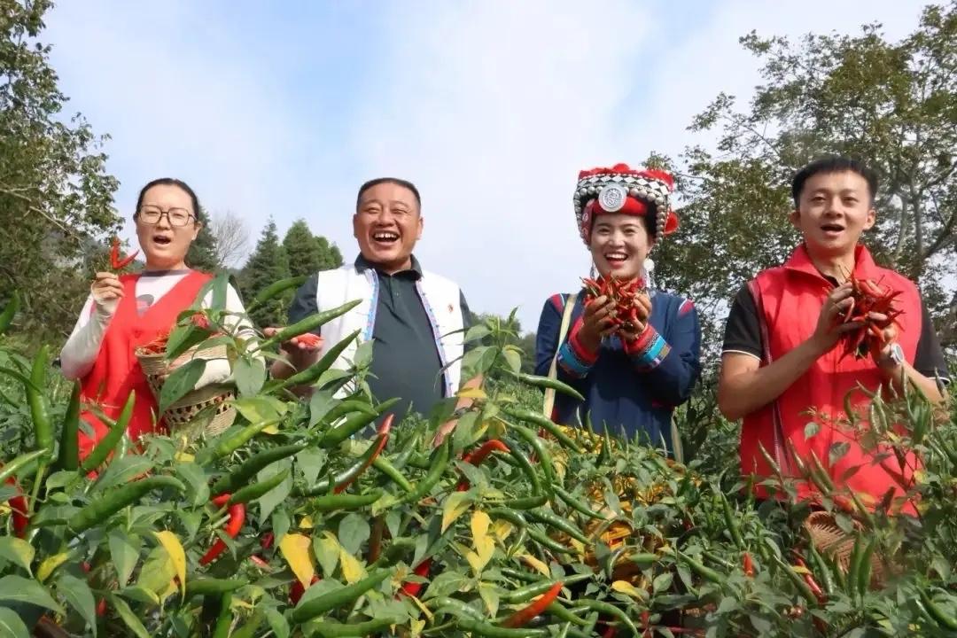 乡村振兴岗位成了香饽饽。
    节前老张来找我，申请到单位对接的乡村振兴镇去工