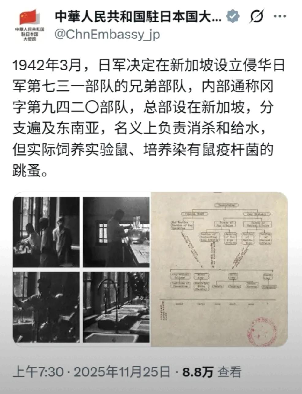 不要忘记历史
     个人观点：不要忘记历史，在真相被识别清楚，责任没明确之前