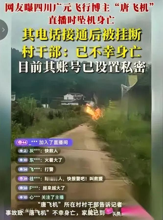 四川55岁大叔的“飞行梦”，碎了。

花35万买的“手搓小飞机”，直播时刚飞就没