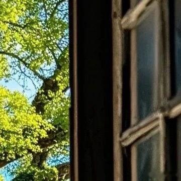 生活的美好，都藏在平凡细碎的日常里。一句暖心问候，一个真诚微笑，都能温柔治愈所有