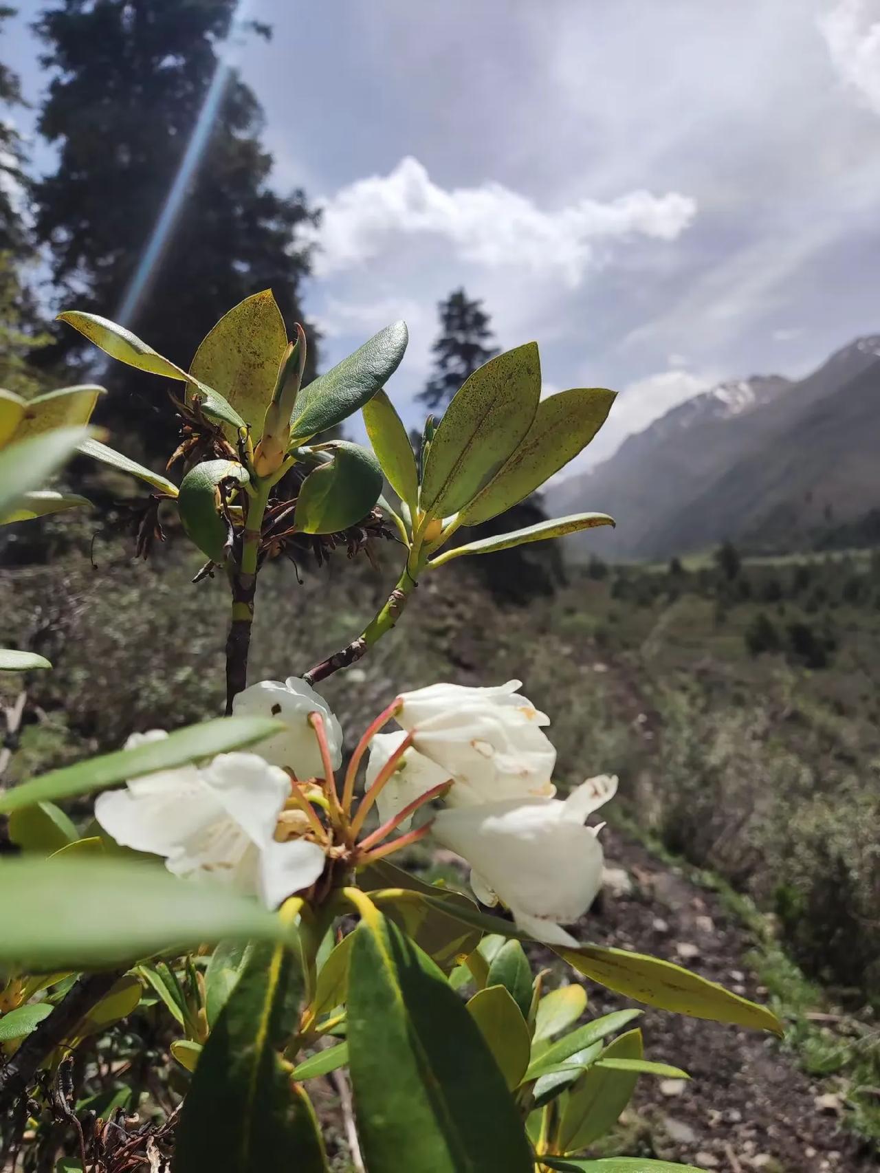 一、景点门票
 
- 陕西：陕西知名景点众多，如秦始皇兵马俑博物馆门票120元，