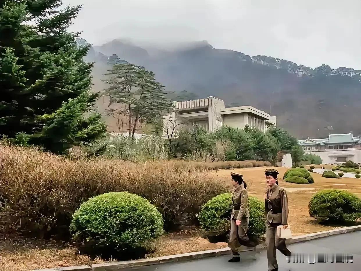 这哪是戴帽子呀，分明是头上顶着一个帽子。
朝鲜女兵好像都有一个特点，那就是高高的