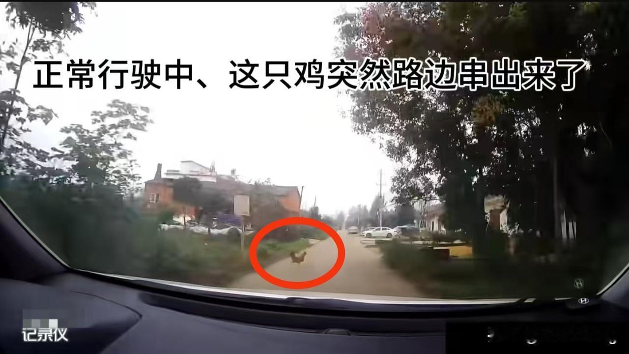 200块钱买只鸡，就当花钱买个教训了。

10月7日中午，王先生驾驶汽车行走在吴