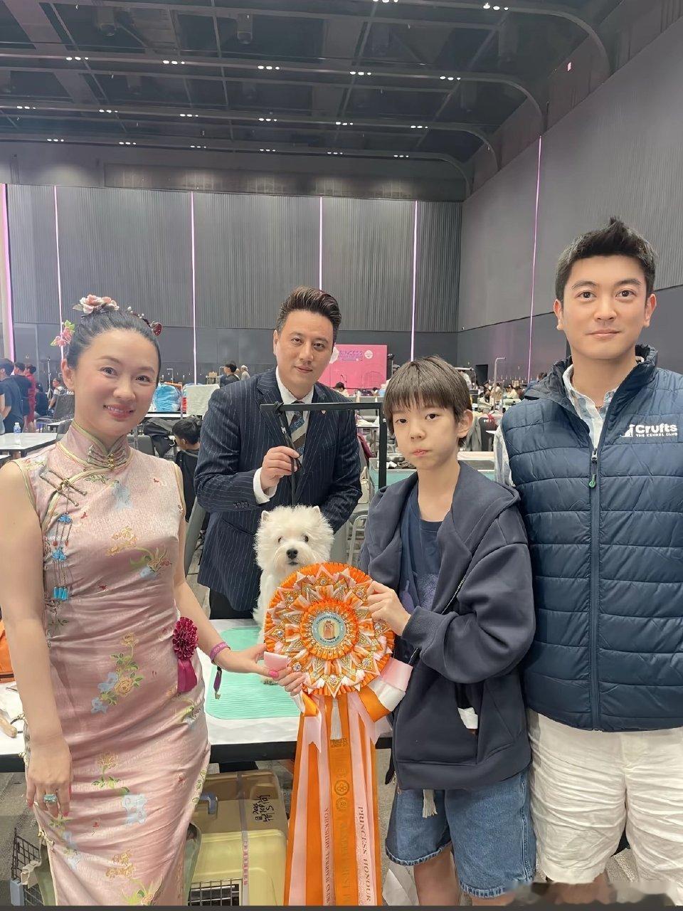 13岁嗯哼长这么大了网友玩梗评出内娱新四大名著，选取多部经典老剧的高光名场面，不