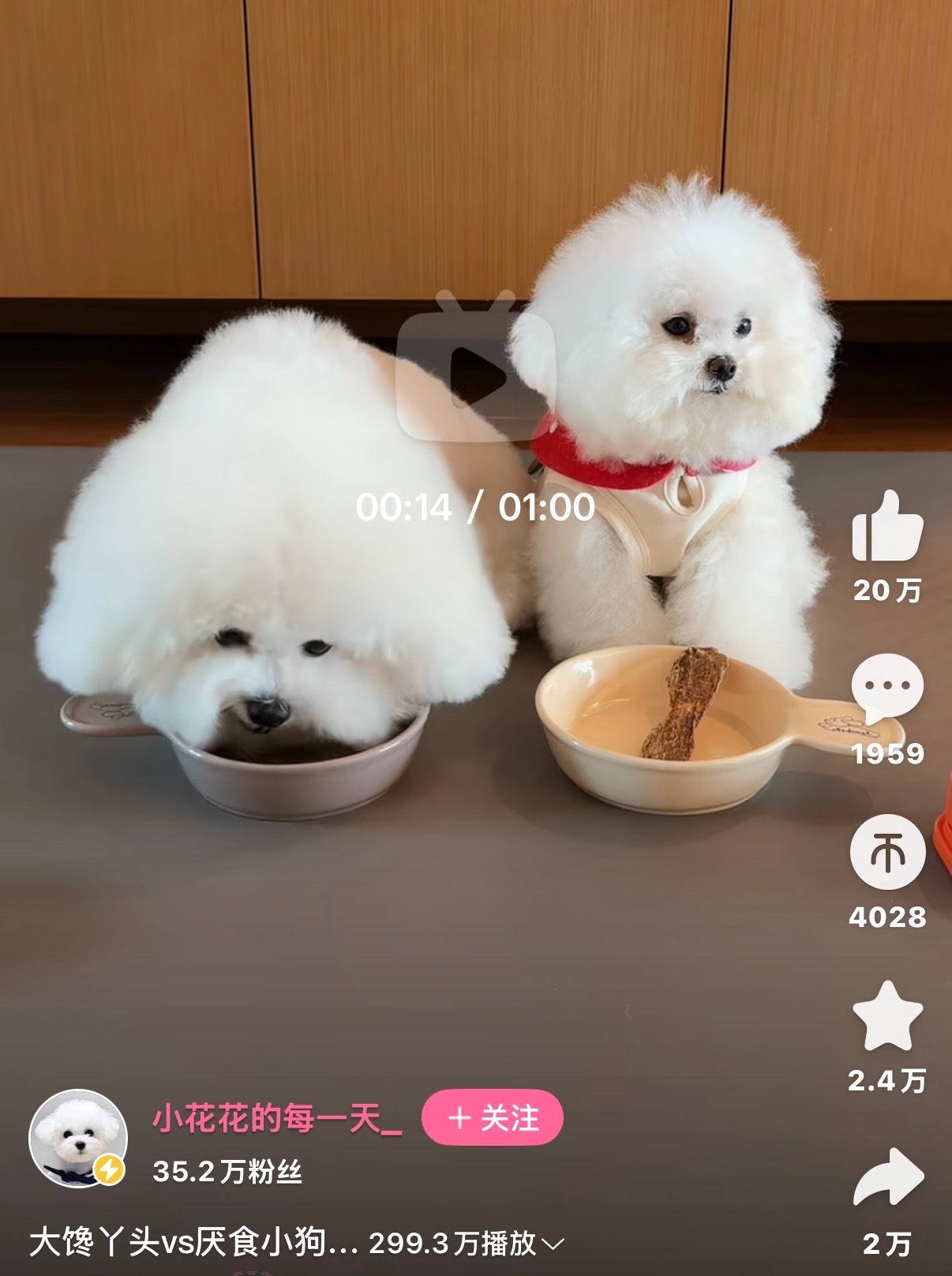 【我敲】就那个26 